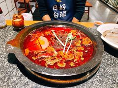 招牌红汤锅-井坎老派火锅(幸福里店)