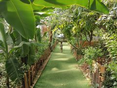 -北京呀路古热带植物园
