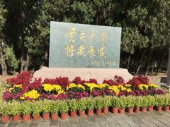 -老龙头景区