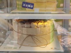 -维尔纳斯·生日蛋糕动物奶油冰淇淋蛋糕(人大店)