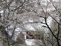 -鸡鸣寺