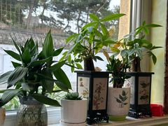 -宾朋海鲜特色美食餐厅·纯手工鲅鱼水饺(兴海路店)