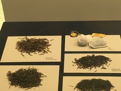-雪绿茶博物馆