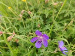 -扁都口生态休闲旅游区