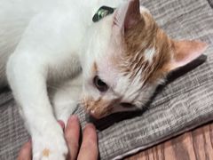 -Again Coffee Roaster(香蜜湖店)