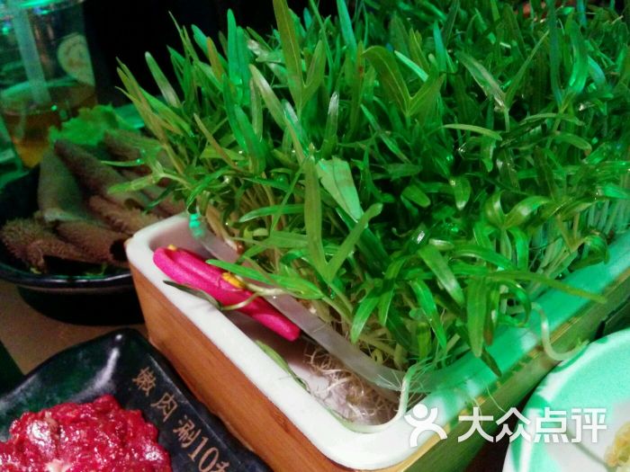 左庭右院鲜牛肉火锅(环球港店)泰国活体空心菜图片 - 第5194张