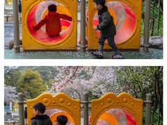 -杭州少年儿童公园