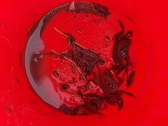 -上海吴淞炮台湾国家湿地公园