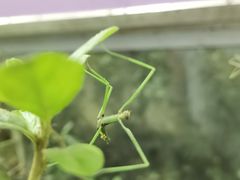 -上海昆虫博物馆