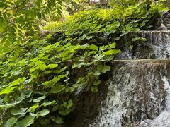 -栾川竹海野生动物园