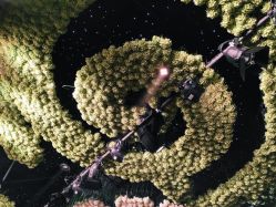 -格乐利雅婚礼艺术中心(南外滩店)