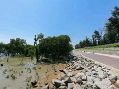 -宝安西湾红树林湿地公园