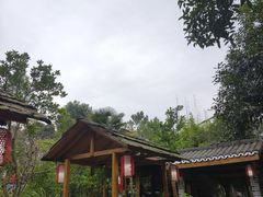 -青城甲(青城山店)