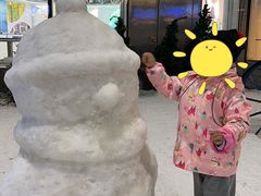 -世界之窗阿尔卑斯冰雪世界