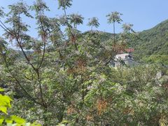 -杭州半山国家森林公园