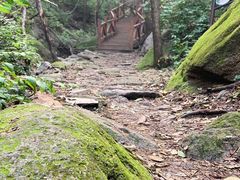 -大岭沟猕猴桃谷风景区