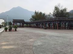 -后柳水乡