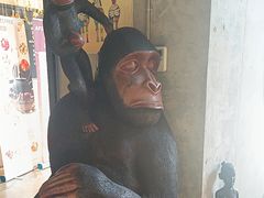 -Africafe(非洲咖啡)