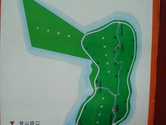 -野狸岛
