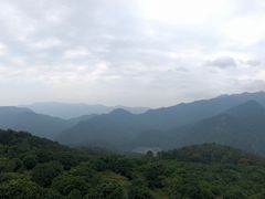 -广州市石门国家森林公园