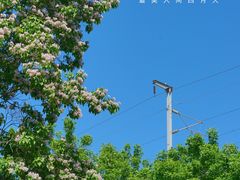 -老君堂公园
