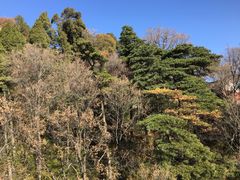 -少华山国家森林公园