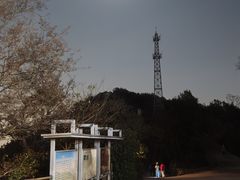 -紫金山山顶公园