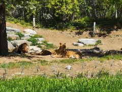 -北京野生动物园