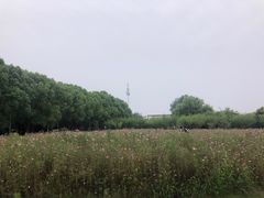 -东华大学(松江校区)