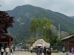 -少华山国家森林公园