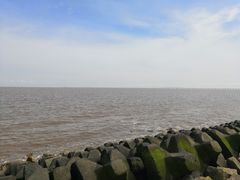 -南汇嘴观海公园