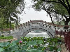 -北陵公园