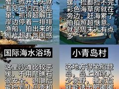 -林海公园