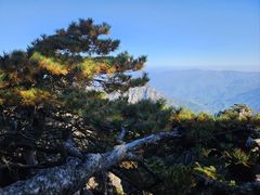 -黄山风景区