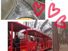 -上海共青森林公园