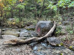 -玉渡山自然风景区