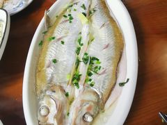 太湖白鱼-美味之家·湖景农家乐(太湖东山店)