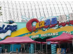 -海合安武汉极地海洋公园