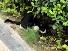 -张钰强中医正骨推拿连锁(唐家人才公寓店)