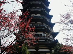 -洋湖国家湿地公园