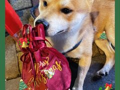 -御蝶坊生日蛋糕KNAC(创业店)