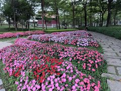 -厦门园林博览苑