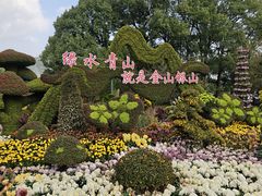 -南山植物园