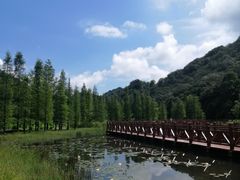 -广州市石门国家森林公园