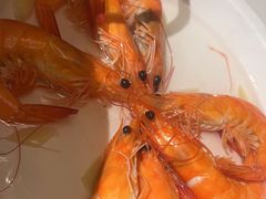 -新白鹿餐厅(第一百货店)
