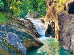 -广州白江湖森林公园