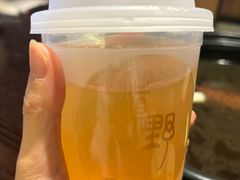 -滇野云南野生菌餐厅(陕西南路店)