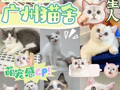 -lincat·猫舍(广州店)