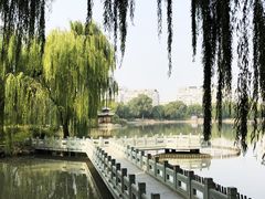 -紫竹院公园-东门停车场