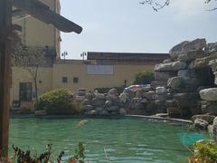 -仁爱团泊湖温泉中心